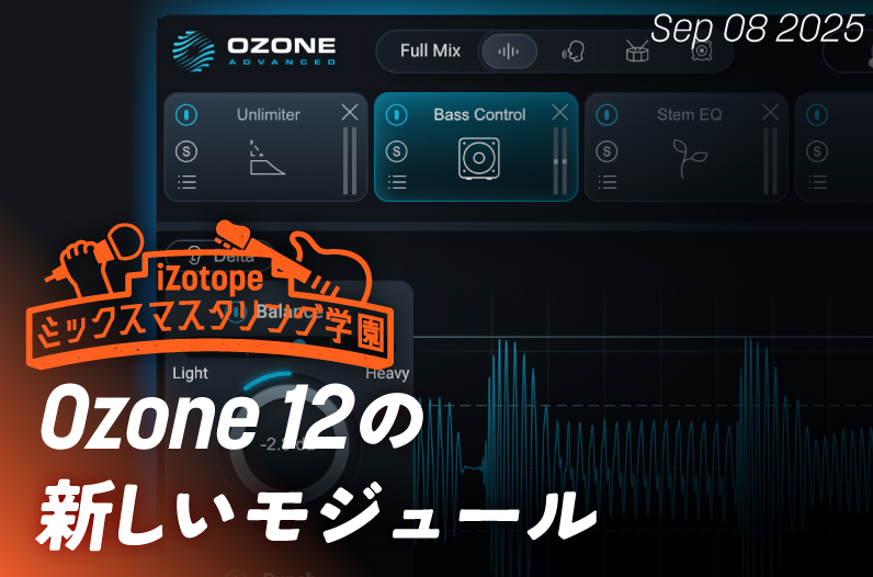 邦楽 ENERGY TONE Rainsong BI-WS3000 12-String Acoustic/Electric Guitar